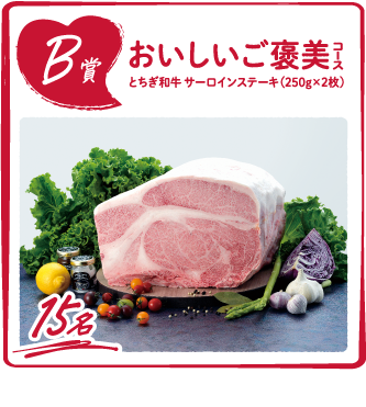 B賞 おいしいご褒美コース とちぎ和牛 サーロインステーキ（250g×2枚） 15名