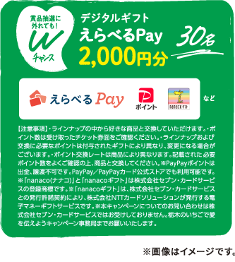 Wチャンス デジタルギフト えらべるPay2,000円分 30名