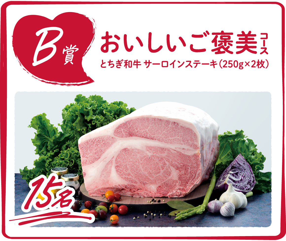 B賞 おいしいご褒美コース とちぎ和牛 サーロインステーキ（250g×2枚） 15名