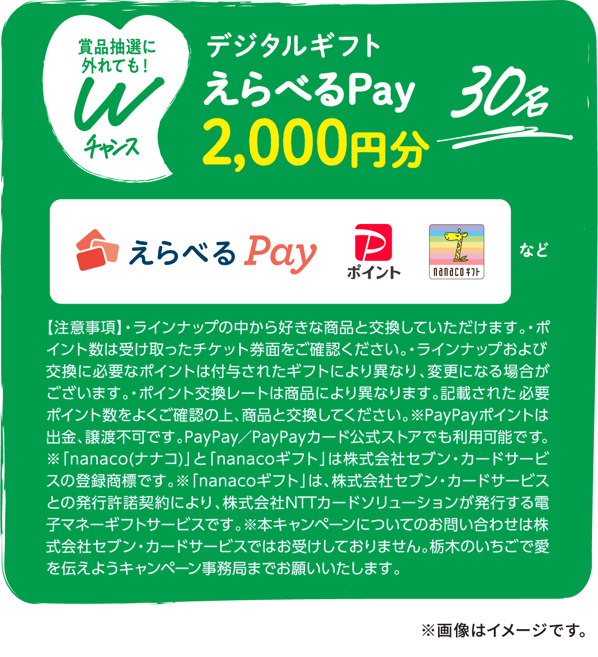 Wチャンス デジタルギフト えらべるPay2,000円分 30名