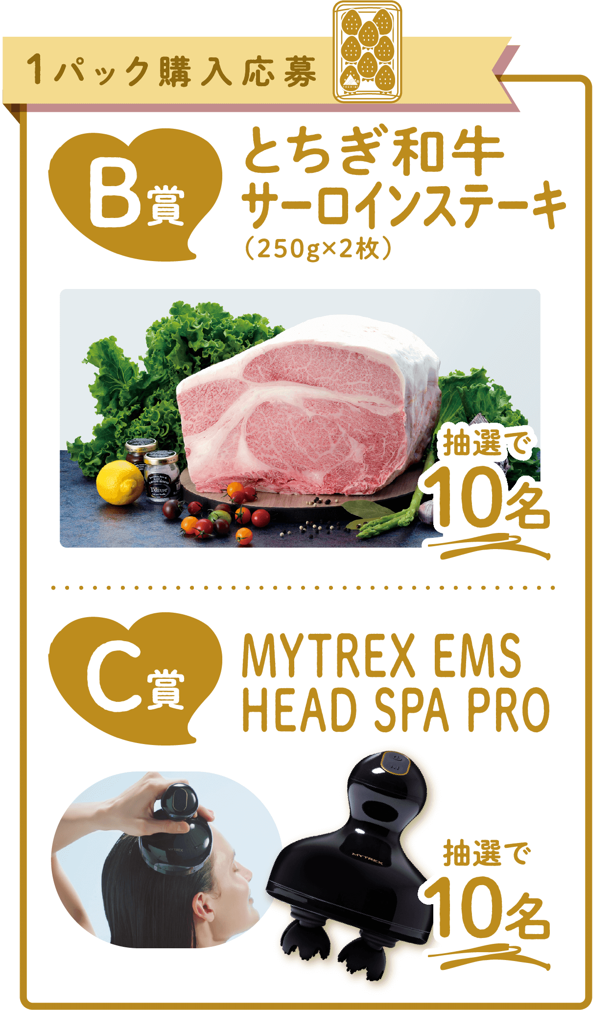 B賞 とちぎ和牛サーロインステーキ／抽選で10名・C賞 MYTREX EMS HEAD SPA PRO／抽選で10名