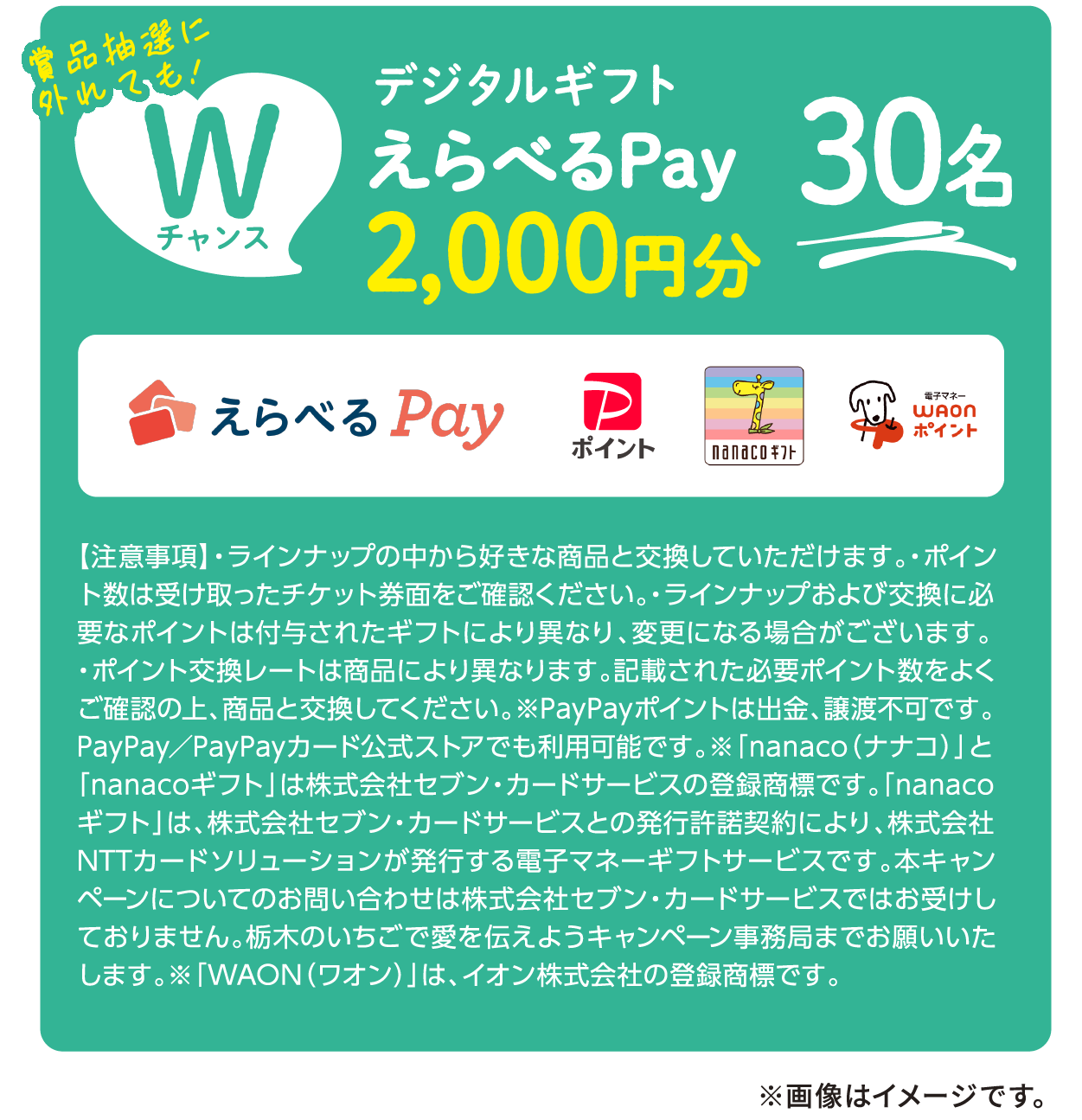 Wチャンス デジタルギフト えらべるPay2,000円分 30名