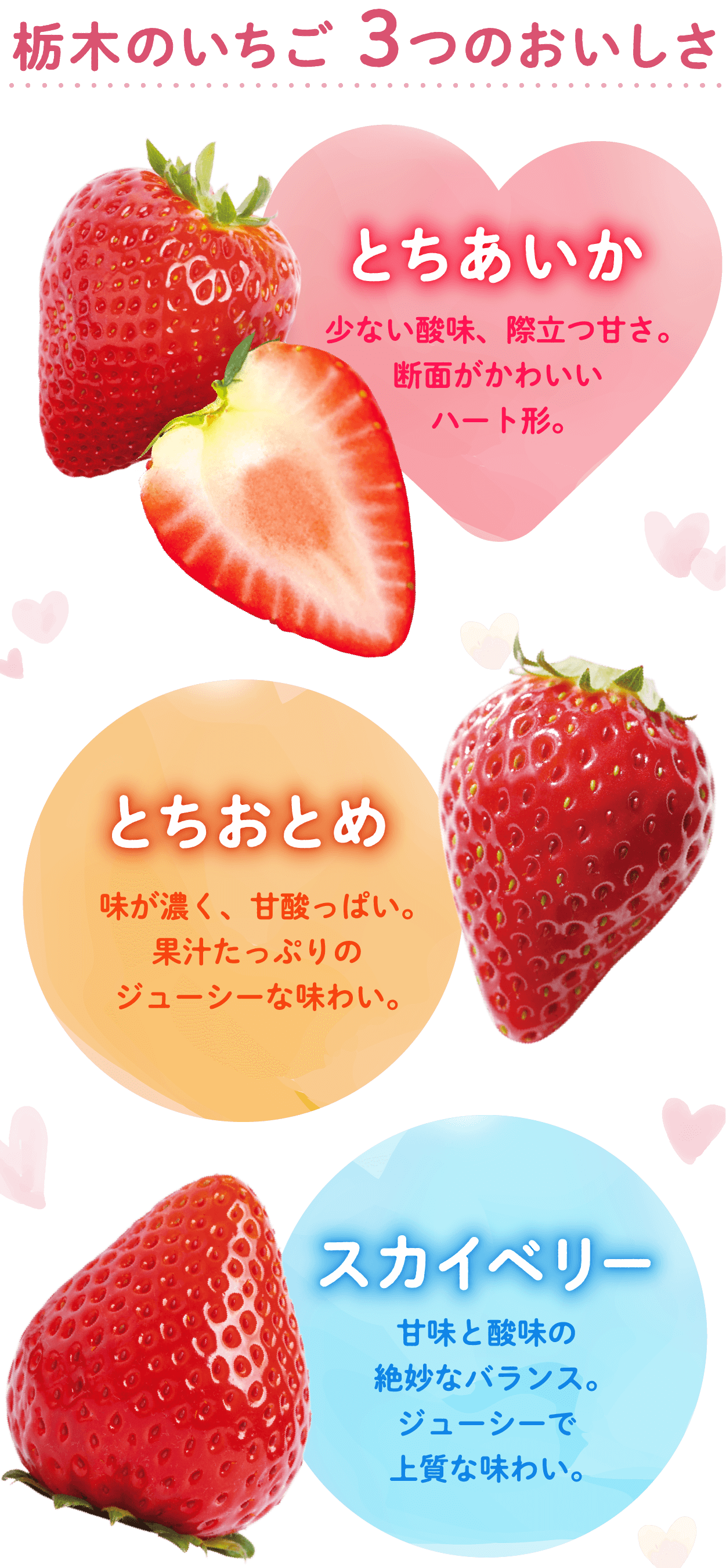 とちぎのいちご 3つのおいしさ
