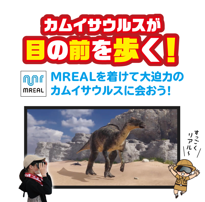 カムイサウルスが目の前を歩く！