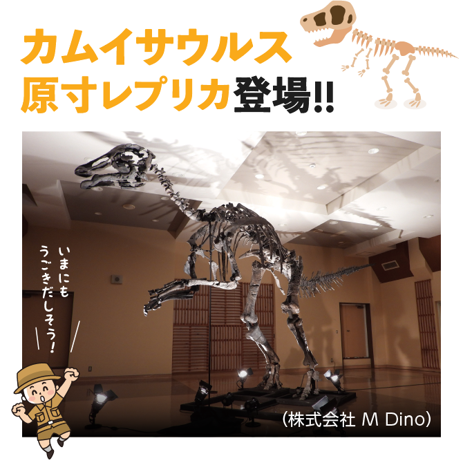 カムイサウルス原寸レプリカ登場!!